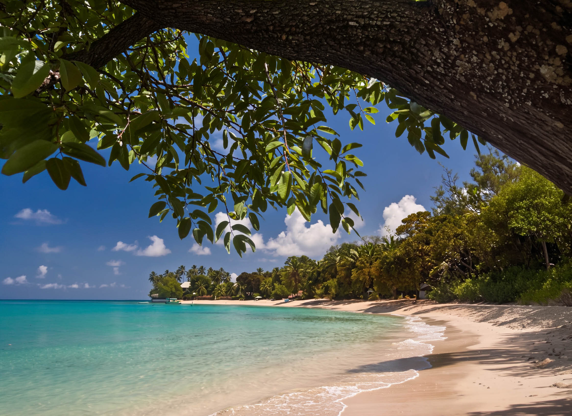 The west coast of Barbados near the communities served by Feed the Street
